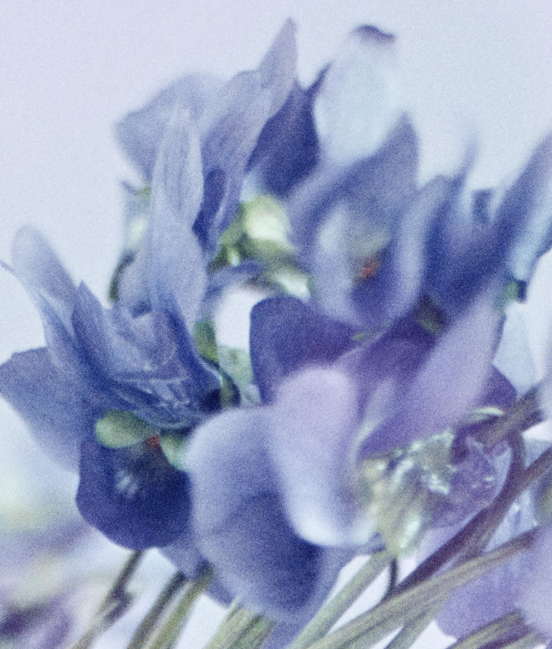 Photo: Marie Valognes