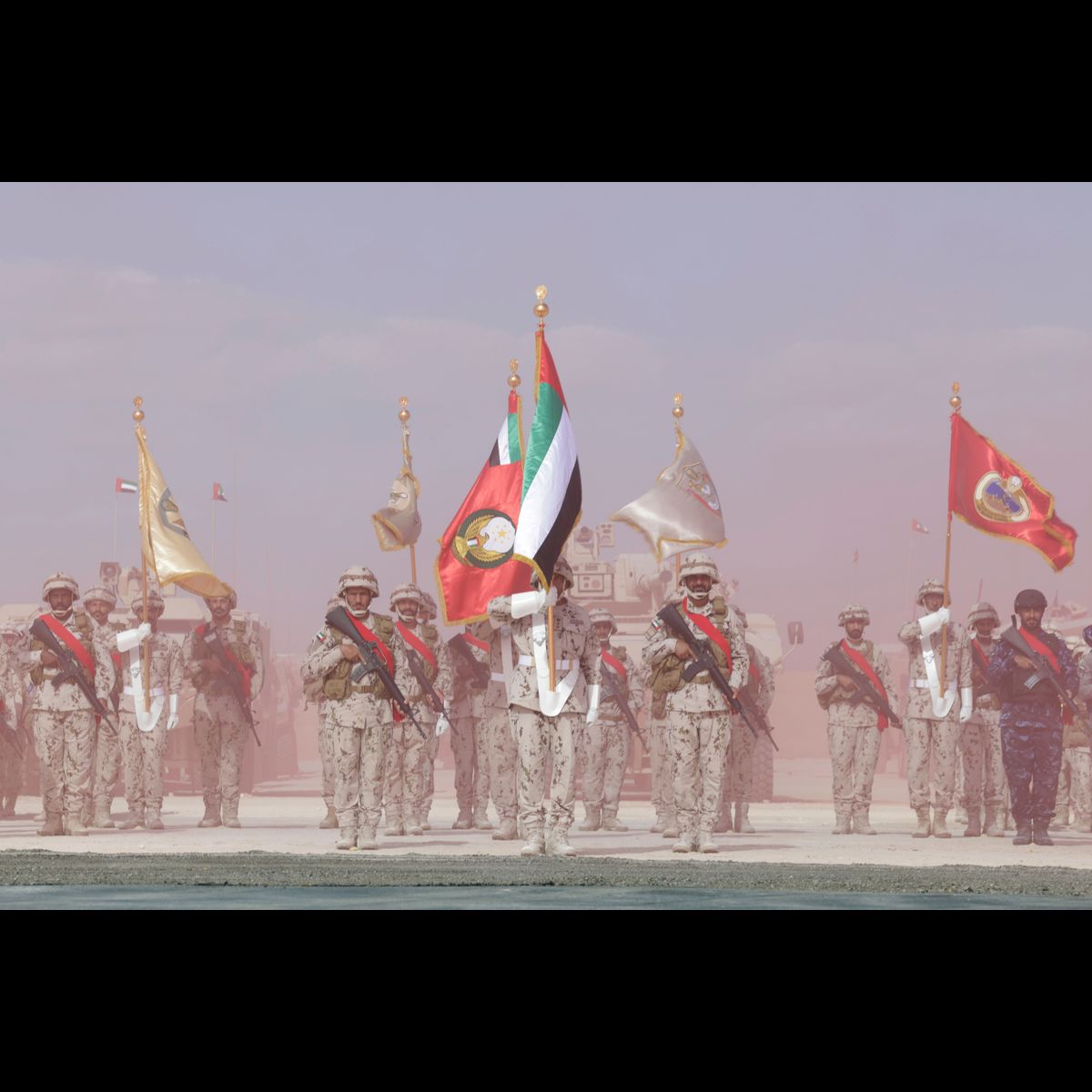 From desert beginnings to missile defence: the rise of the UAE Armed Forces